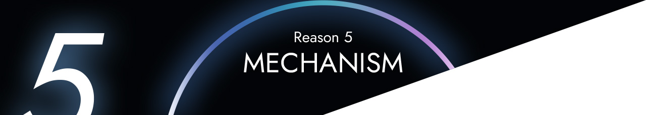 Reason 5 - MECHANISM