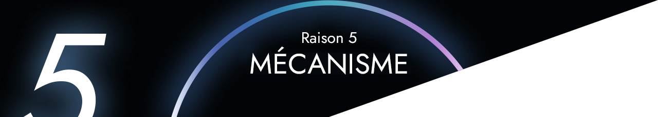 Raison 5 - MÉCANISME