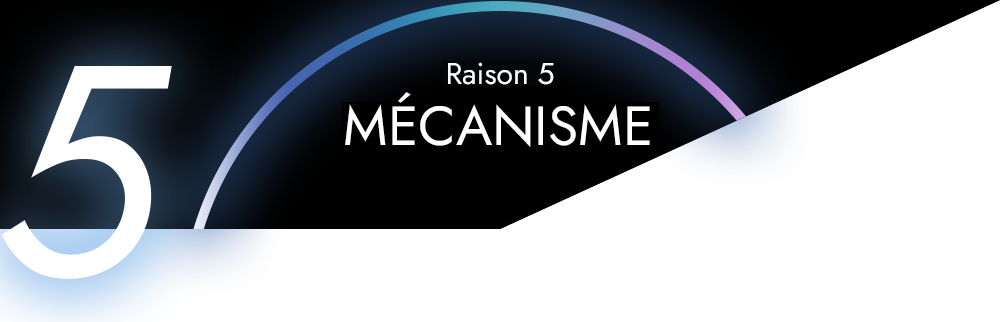 Raison 5 - MÉCANISME